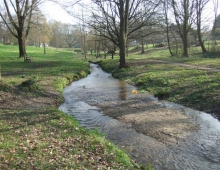 Meadowside Chalk Stream