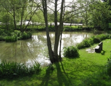 mill pond