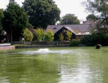 village pond