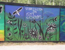 Storrington-in-Bloom
