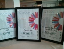 South and South East In Bloom Award Ceremony