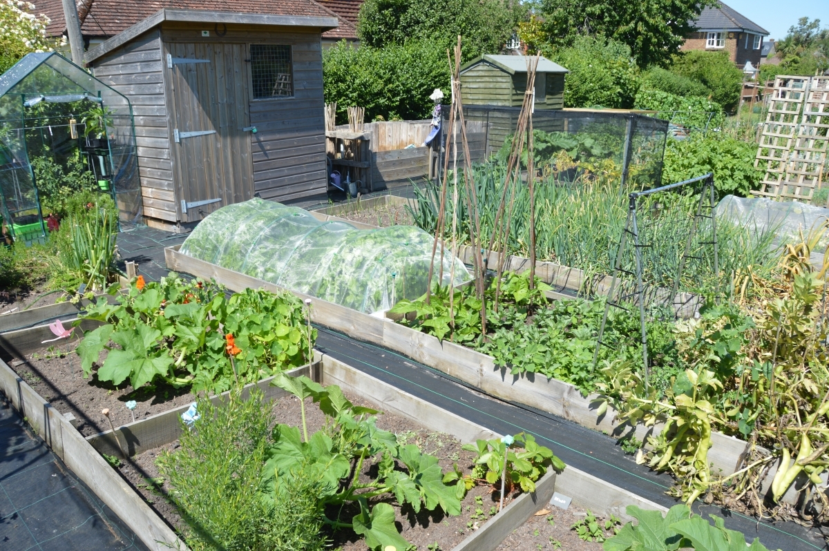 Plot-1-...JPG_backup