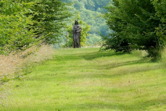 Matts Meadow