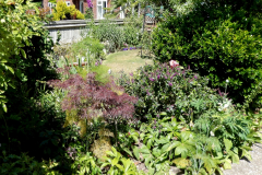 Storrington In Bloom 2015 Finalists